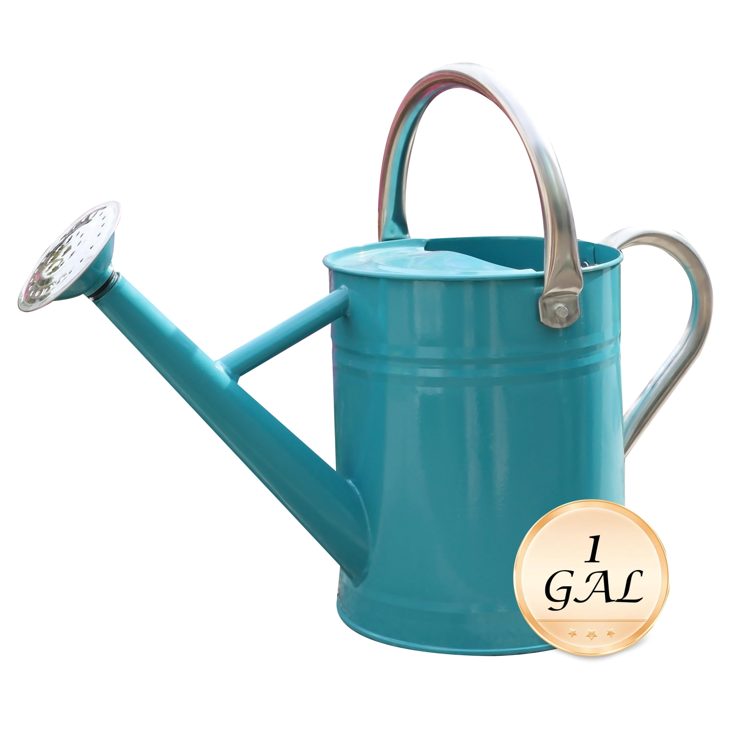 Metal Watering Can for Outdoor and Indoor Plants, Watering Can Decor, 1 Gallon - 006 LEAF GREEN