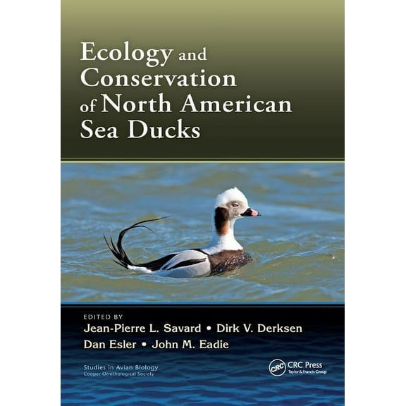 Studies in Avian Biology Ecology and Conservation of North American Sea Ducks, (Paperback)