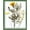 Green, variant on , Floating Picture Frame 11x14 - Black Aluminum Metal Photo Frame - Real Glass of Front - for Wall Mount Displays
