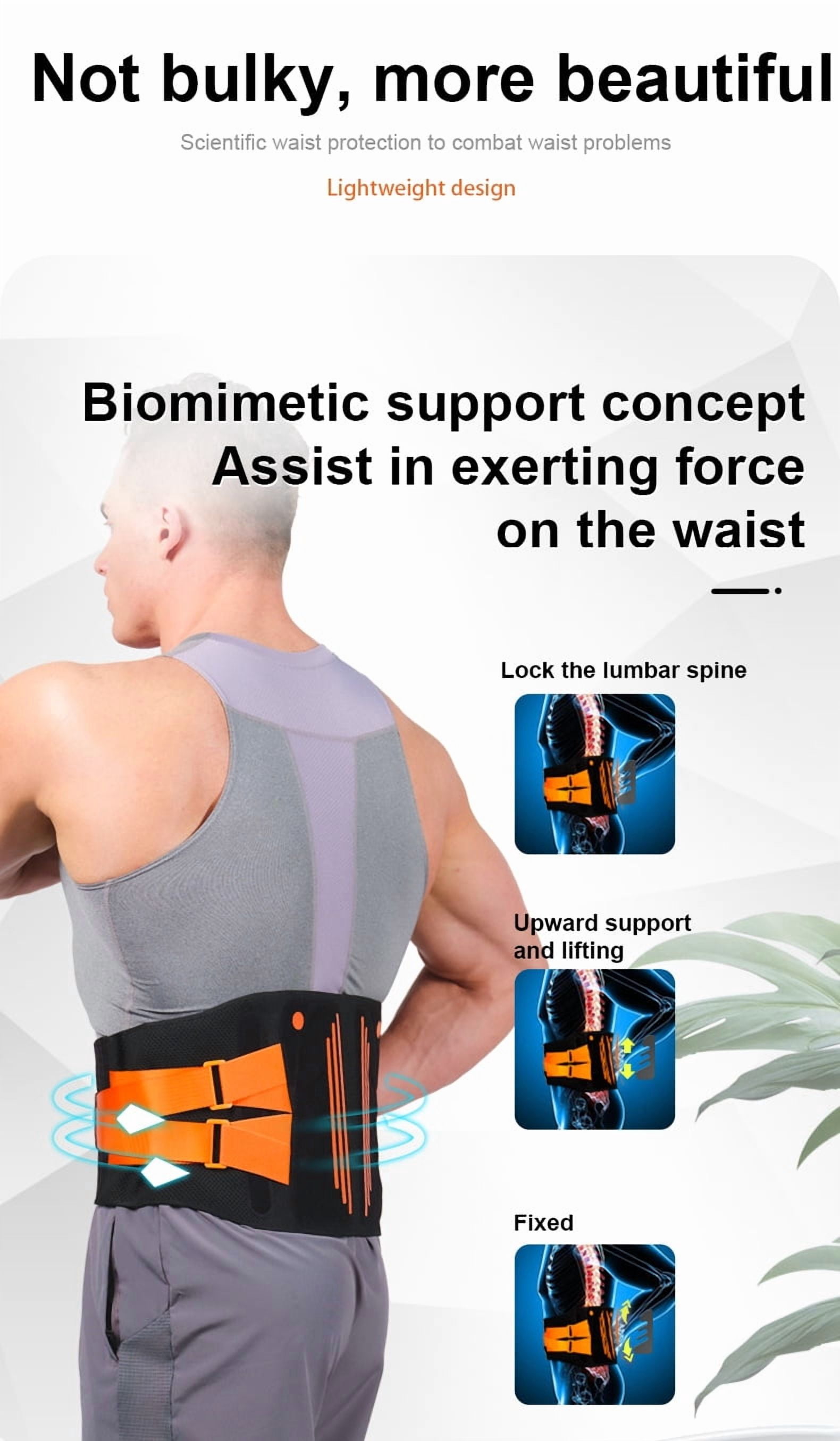 Lower Back Brace Waist Belt Men Women Adjustable Breathable Lumbar，Breathable Knit Back Brace for Lower Back Pain Relief, Lumbar Support - Adjustable Waist Belt with Memory Support Plates & Compressi