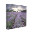 thumbnail image 3 of Stupell Lavender Fields Sunlit Clouds Botanical & Floral Photography Gallery Wrapped Canvas Print Wall Art, 3 of 7