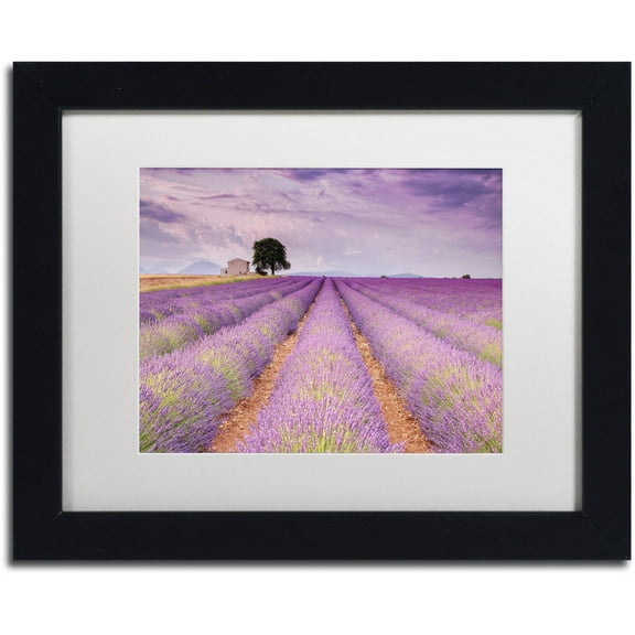 Trademark Fine Art 'Stone House' Canvas Art by Michael Blanchette Photography, White Matte, Black Frame