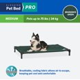 thumbnail image 3 of Coolaroo Cooling Elevated Dog Bed Pro, Medium, Fits in 42in Crates, Brunswick Green, 3 of 7