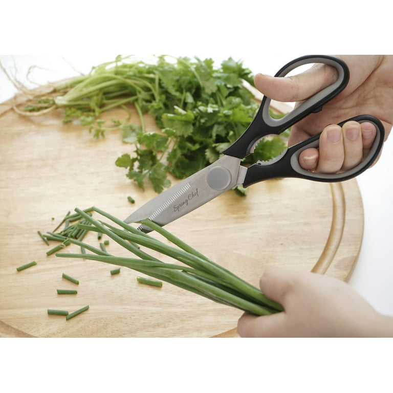 Rae Dunn Kitchen Scissors- Stainless Steel Kitchen Shears, Cooking Scissors  for Cutting Meat, Chicken, Herbs and Produce with Blade Cover and Soft