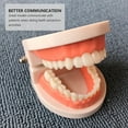 Produktbild von ULTNICE Zahnmodell - Dental Lehrmodell, Typodont Für Ausbildung