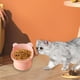 thumbnail image 2 of Comedero elevado para gatos Comederos elevados Platos para gatos y gatitos Antivuelco Bonito Rosa, 2 of 9