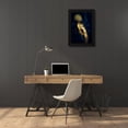 thumbnail image 3 of Ruslan Bolgov 13x18 Black Modern Wood Framed Wall Art Titled - Anti-Gravity, 3 of 6