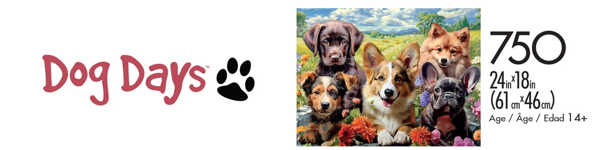 Buffalo Games Image World Perfection de Chiot Casse-Tête de 750 Pcs pour Adultes Casse-Tête Stimulant Parfait pour les Soirées de Jeux - Casse-Tête Fini Taille 24 x 18