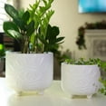 thumbnail image 6 of Flora Bunda 6IN & 4.75IN Evil Eye Ceramic Footed Planter,Set of 2, Matte White, 6 of 9