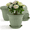 Celadon Green, variant on FIASON 6 Pack 8 Inch Pink Embossed Plastic Plant Pots, Vine Pattern Flower Planters with Drainage Holes and Saucers, Indoor Outdoor Decorative Plant Pots