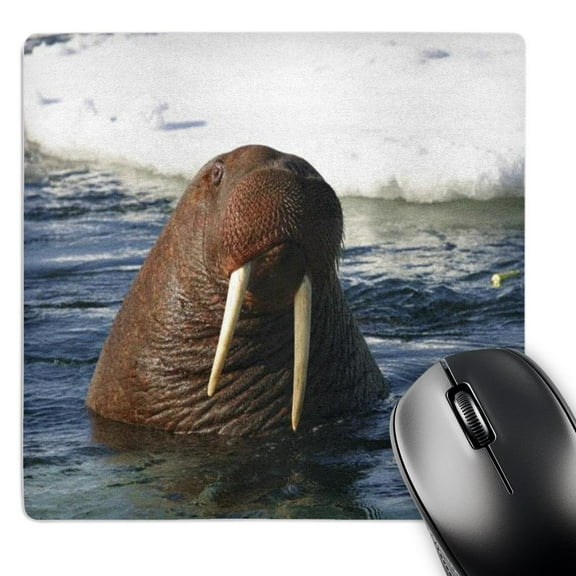 3dRose, Bull Walrus, MousePad
