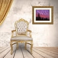 thumbnail image 3 of Terrill, Steve 32x26 Gold Ornate Wood Framed with Double Matting Museum Art Print Titled - OR, Three Sisters, sunset clouds over forest, 3 of 4