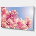 thumbnail image 2 of Fleurs de Magnolia sur Fond Ciel - Impression sur Toile Florale, 2 of 3
