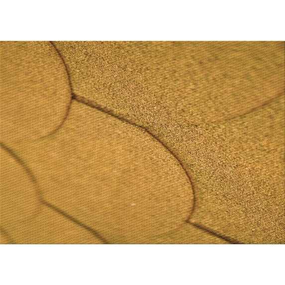 Ahgly Company Machine Washable Indoor Rectangle Transitional Sedona Brown Area Rugs, 5' x 7'