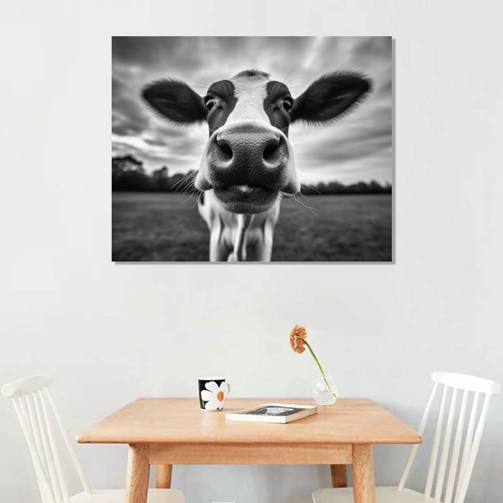JRXY Canvas Print Wall Art Black and White Freedom Highland Cow Pictures Funny Animal Painting Stretched and Framed Artwork for Home Office Decor 24x36inch 16x12in