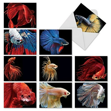 'M1630TY FANCY FINS' 10 Assorted Thank You Notecards Feature Colorful Fish with Unusual Tails and Fins with Envelopes by The Best Card
