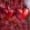 Pink,Silver,Red, variant on Clearance Sale! Valentine Valentine'S 24Pcs Day Decorations Gifts Ornaments Heart Hangs Hangs Practical Home Decor