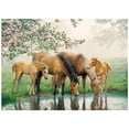 thumbnail image 1 of Cobble Hill - Watering Hole - 35 Piece Tray Puzzle, 1 of 2