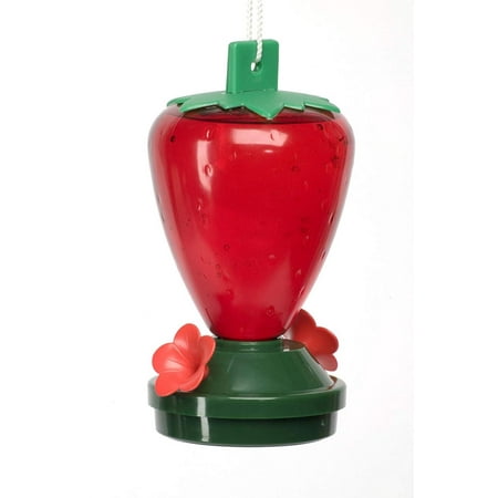 Wooden Bird Feeding Station Audubon Plastic Strawberry Hummingbird Feeder, 12 oz. Model 5556, Audubon Strawberry Hummingbird feeder has two feeding stations By Cherry Valley Feeder ()