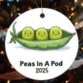 thumbnail image 4 of Peas in A Pod Ornament Green Beans Circle Ornament Personalized Christmas Ornaments Christmas Ornament for Family Sister Friend, 4 of 5