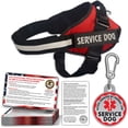 thumbnail image 1 of Juego de accesorios para perros de servicio Pelto con chaleco, etiqueta de identificación y 50 tarjetas ADA, 1 of 5