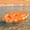 D, variant on Kmonabie Inflatable Pool Snack Bar Floating Snack Tray with Cup Holders, Puncture Resistant PVC Food Drink Server for Pool, Buoyant Party Tray for Chips Fruit Beverages