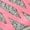 Pinkgreya, variant on Unisex Barefoot Shoes, Wide Toe Zero-Drop Quick-Dry Water Footwear for Hiking, River Crossing, Beach, Pool, Swimming, Running, and Walking