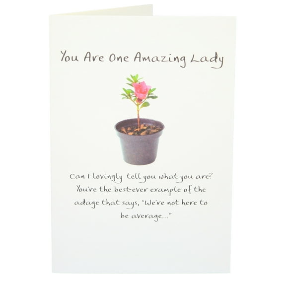 Blue Mountain Arts Greeting Card You Are One Amazing Lady is Perfect For a Mom, Daughter, Wife, Or Any Woman For Birthday, Anniversary, MotherS Day, Or Just Because, by Douglas Pagels