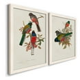 thumbnail image 3 of Elegant Trogons IX - Premium Framed Canvas 2 Piece Set - Ready to Hang, 3 of 7