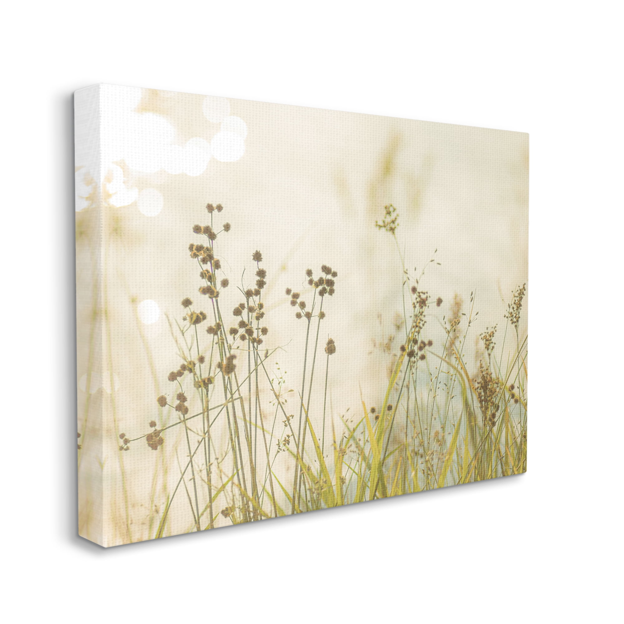 Stupell Industries Rural Country Grasses Botanical & Floral Photography Gallery Wrapped Canvas Print Wall Art, 30 x 24