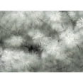 thumbnail image 2 of Gulin, Sylvia 24x19 Black Ornate Wood Framed with Double Matting Museum Art Print Titled - USA-Washington State-Bellevue Pine tree close up and tree trunk, 2 of 4
