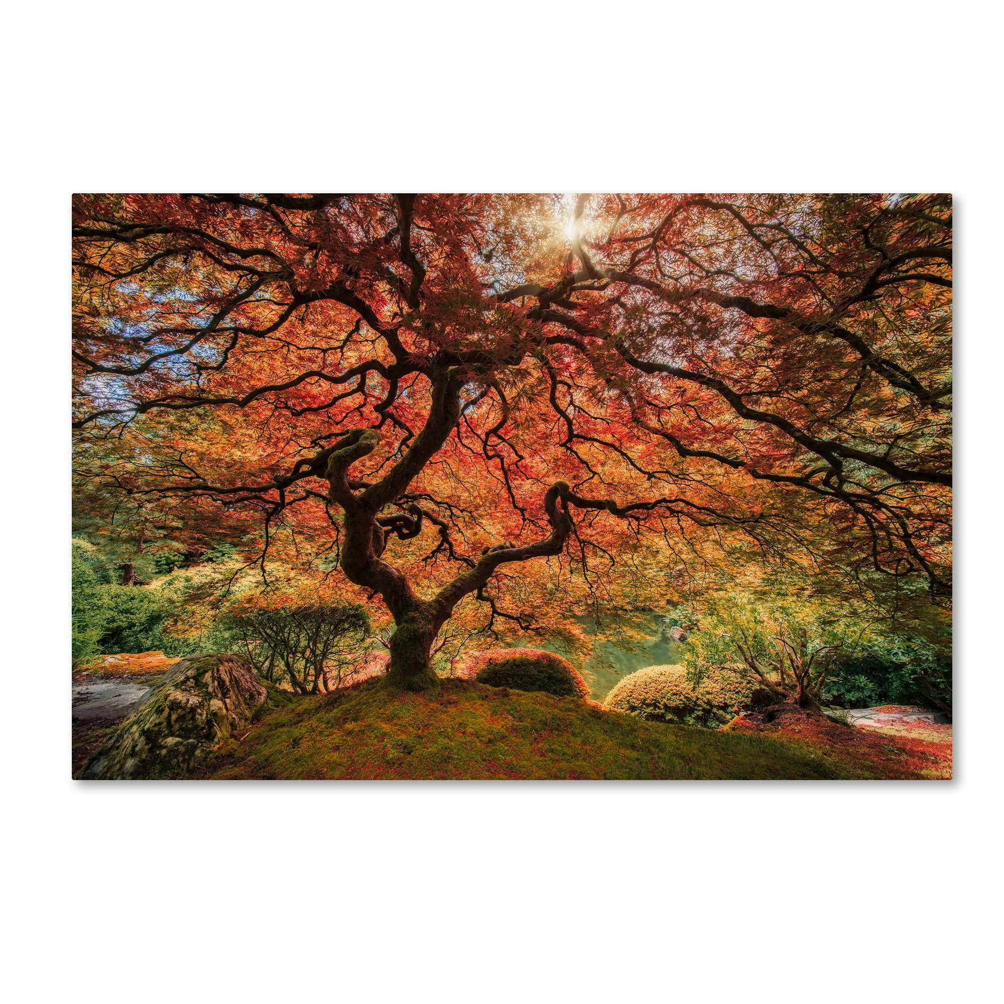 Red Trees Forest 06 3.2 A Wall Art Canvas Picture Print 