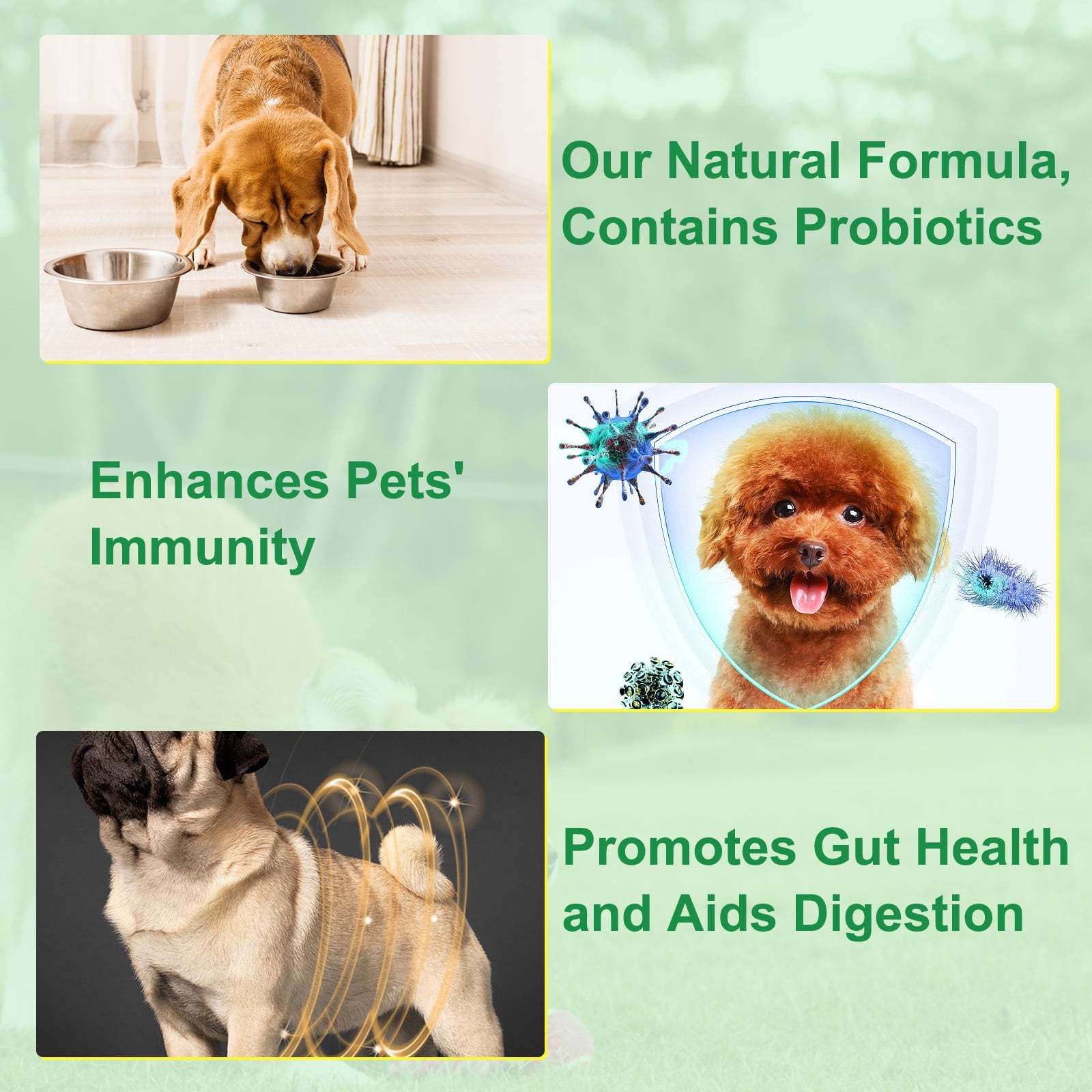 Oimmal Dog Digestive Comfort Liquid with Probiotics, Alcohol-Free, Daily Treats for Dogs - 2 oz(60ml) (3 Pack)