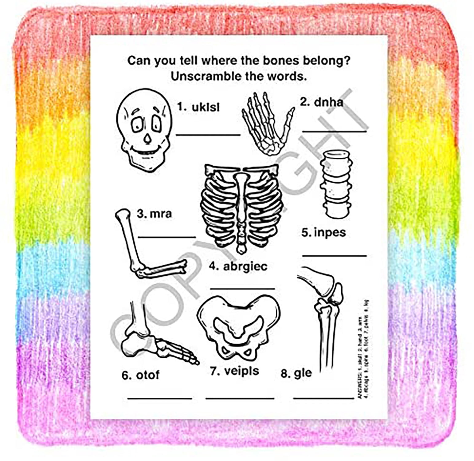 25 Pack - Learn About X-Rays Kid's Coloring & Activity Books