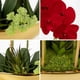 thumbnail image 3 of Orquídea Artificial Briful 43 cm Flor de Seda Roja en Jarrón Dorado, 3 of 6