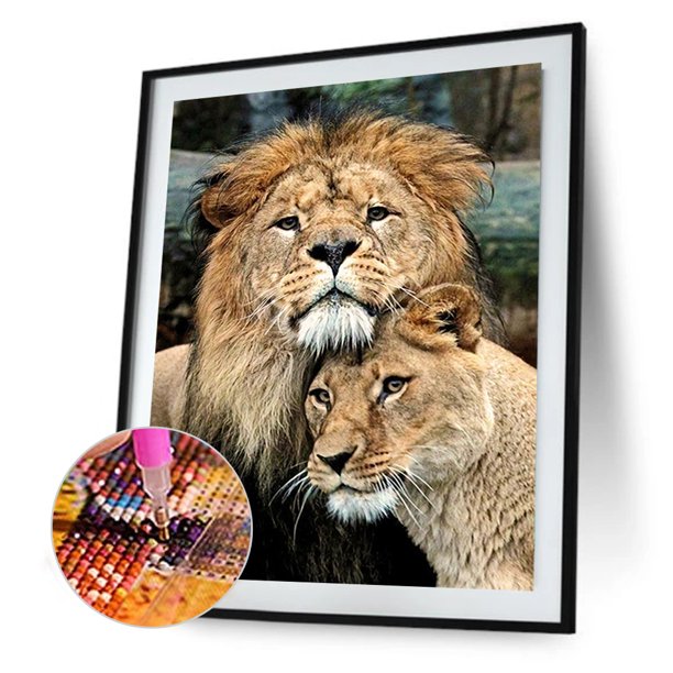 Cuadros Decorativos 5D bricolaje ronda completa taladro diamante pintura León Kit hogar decoración artesanal (B5372) Ehuebsd embutido en tela