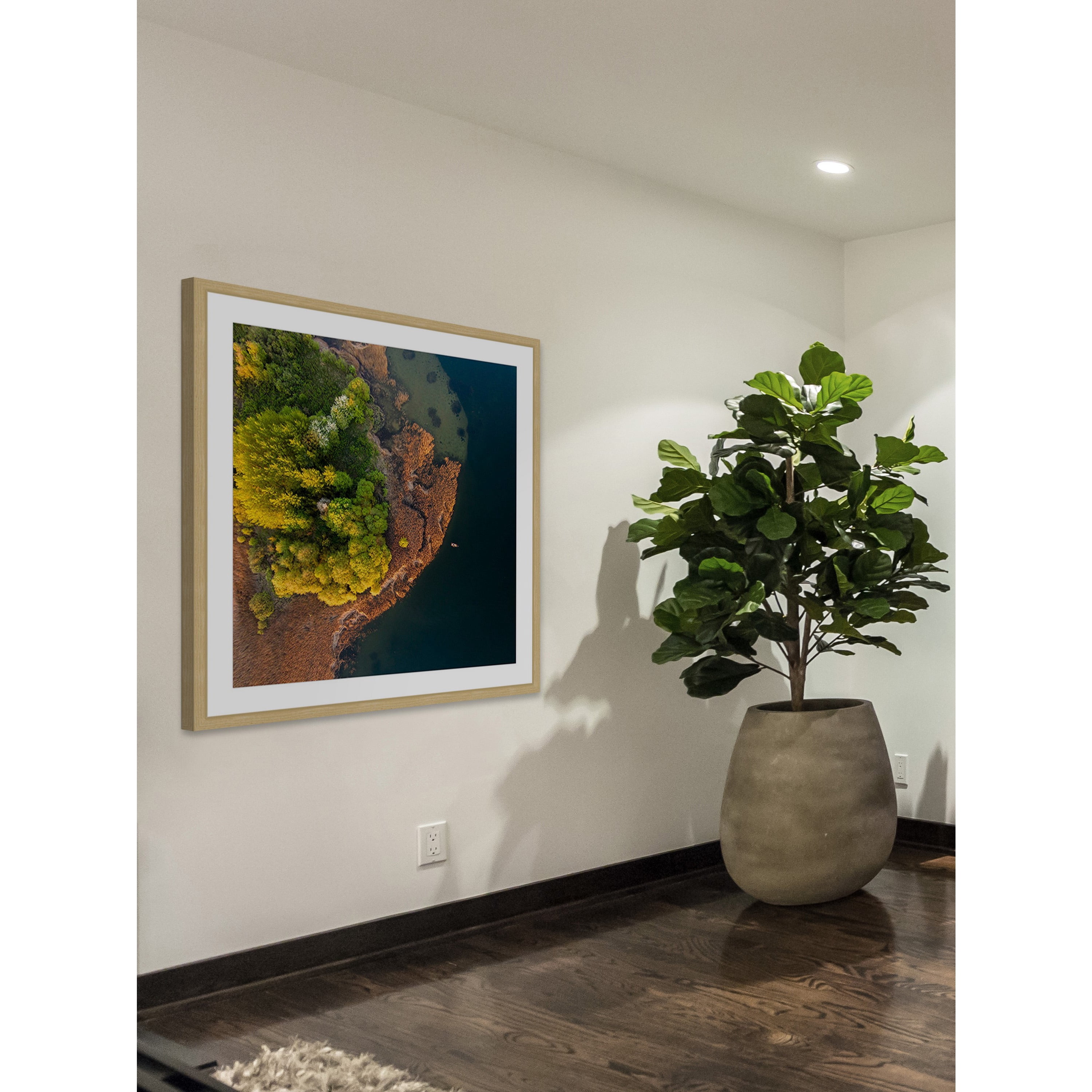 Marmont Hill "Trees from Above" by Karolis Janulis Framed Painting Print