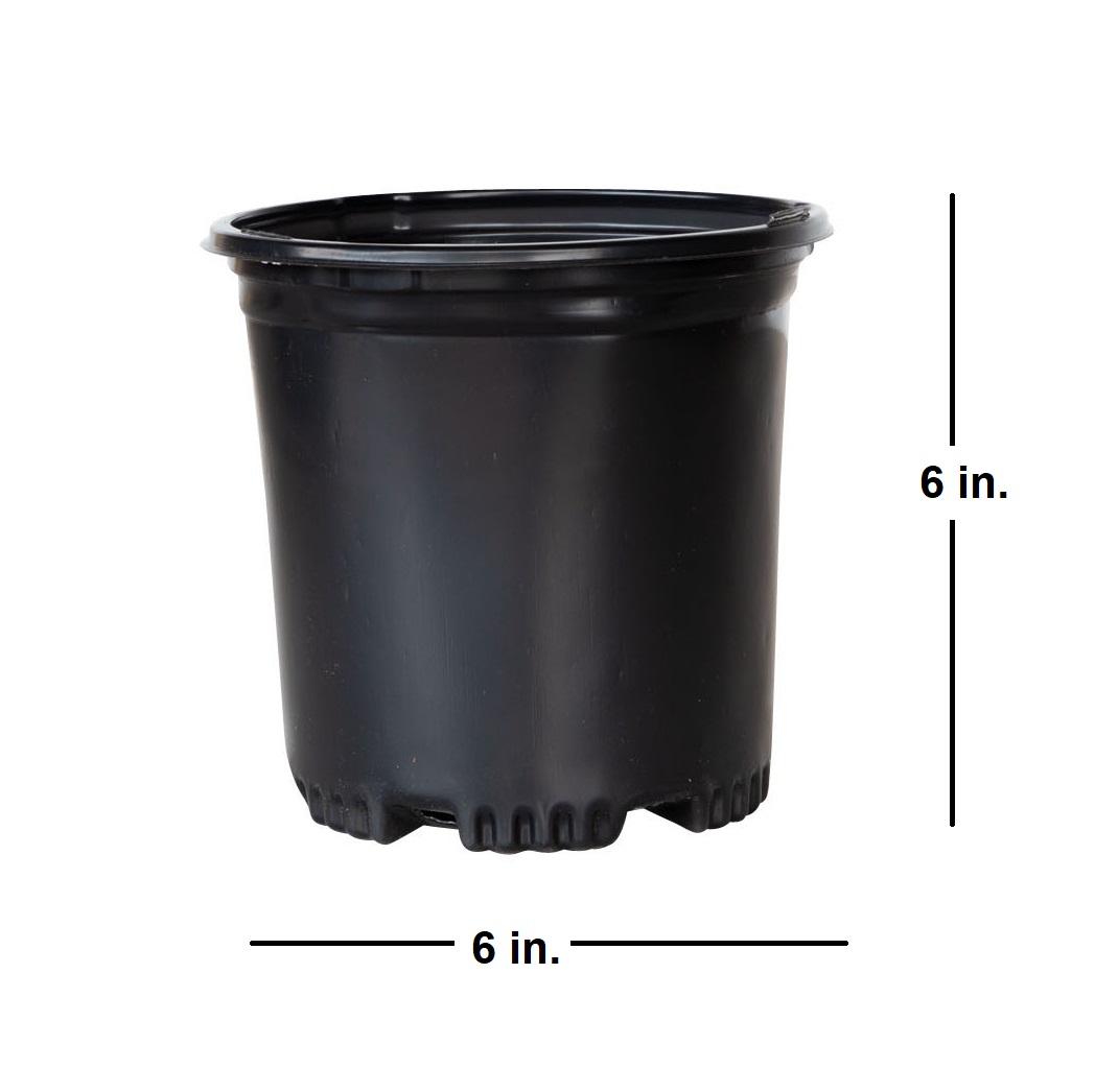Expert Gardener 2.5 Qt. Black Plastic Nursery Pots (25-Pack)
