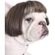 thumbnail image 1 of Pelucas de perro recortables para perros pequeños, medianos y grandes, cosplay., 1 of 5