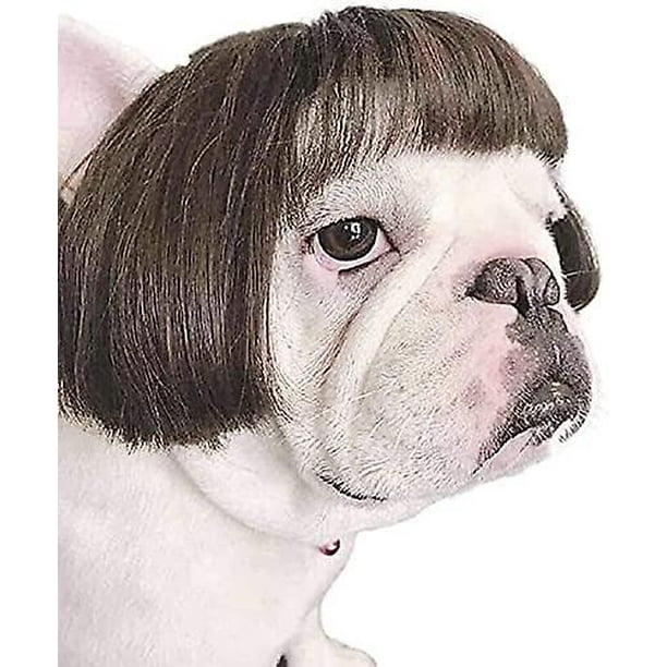 Pelucas de perro recortables para perros pequeños, medianos y grandes, cosplay.