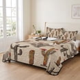 thumbnail image 2 of Queen Quilt Set 90''x96'', Vintage Cactus Lightweight Bedspread Coverlet Set with 2 Pillow Shams, Farmhouse Retro Brown Summer Botanical Breathable All Season Quilt Bedding for Bedroom/Guest Room, 2 of 9