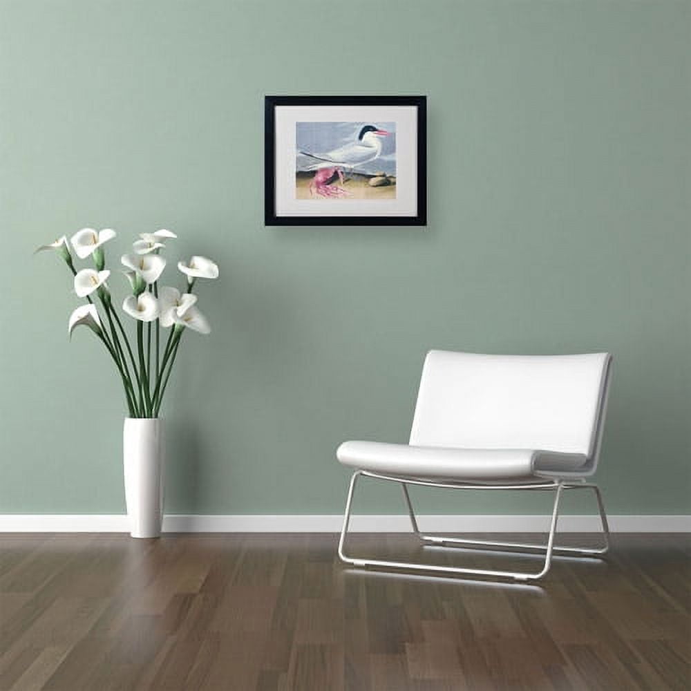 Trademark Fine Art "Cayenne Tern" Canvas Art by John James Audubon, Black Frame