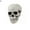Style 4, variant on D-GROEE 2PCS Mini Plastic Skull Head Ornaments Halloween Party Decoration Pirate Cave Tomb Treasure Skull Figurine Decorative Statue