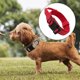thumbnail image 4 of Collar de perro ajustable con mango de control, collar de entrenamiento para pequeños, medianos y grandes rojo Yuyangstore cuello grande, 4 of 8
