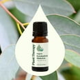 thumbnail image 3 of Plant Therapy Organic Eucalyptus Globulus Essential Oil 100% Pure, USDA Certified Organic, Undiluted 10 mL (1/3 fl oz), 3 of 8