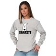 thumbnail image 3 of Llamaste Namaste Spiritual Llama Plus Size Long Sleeve Graphic Tee Shirt Brisco Brands 2X, 3 of 5