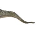 thumbnail image 3 of Dinosaur Figure,  Tyrannosaurus Dinosaur Animal Model Figure Kids Early Educational Toys Gift, 3 of 8
