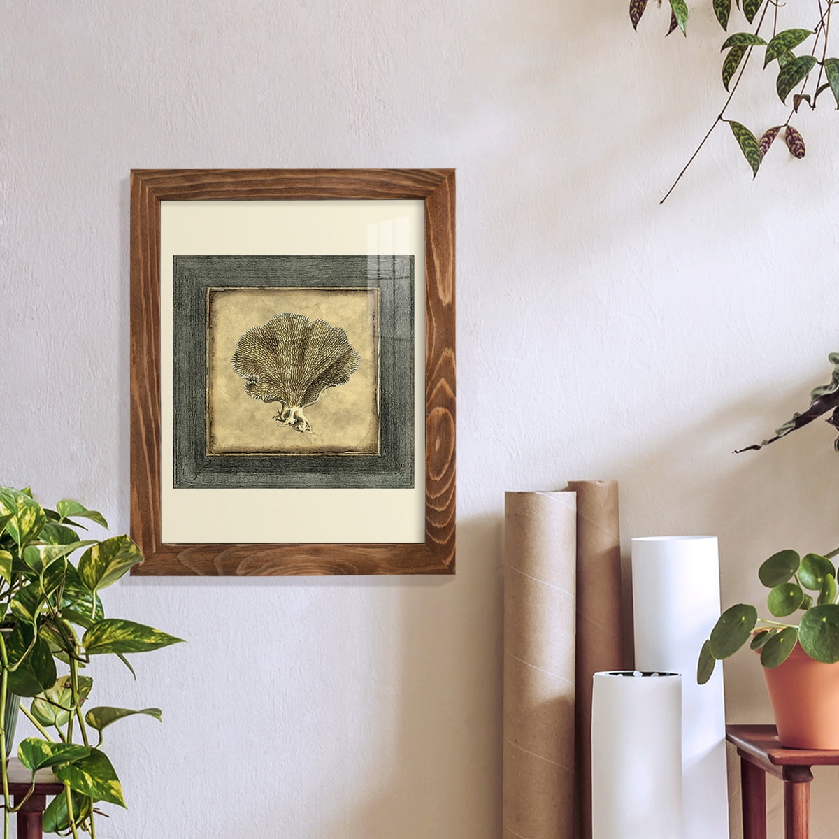 Mini Exotic Coral VI (U) - Framed Print w/glass - Walnut