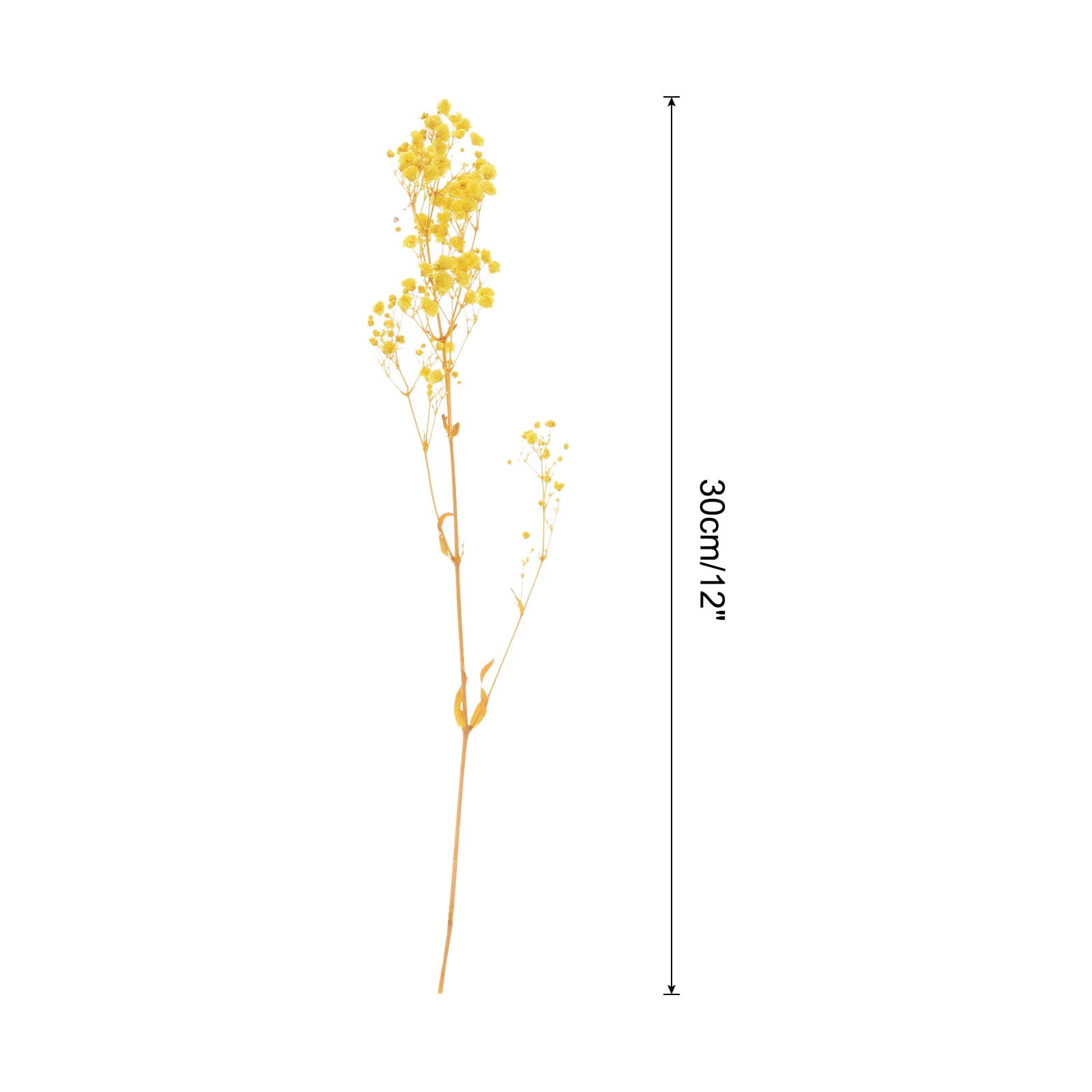 Uxcell Dried Baby's Breath Flowers 12 Inch Gypsophila Yellow Natural Baby's Breath Branches for Wedding Party Home Decoration 2 Pcs