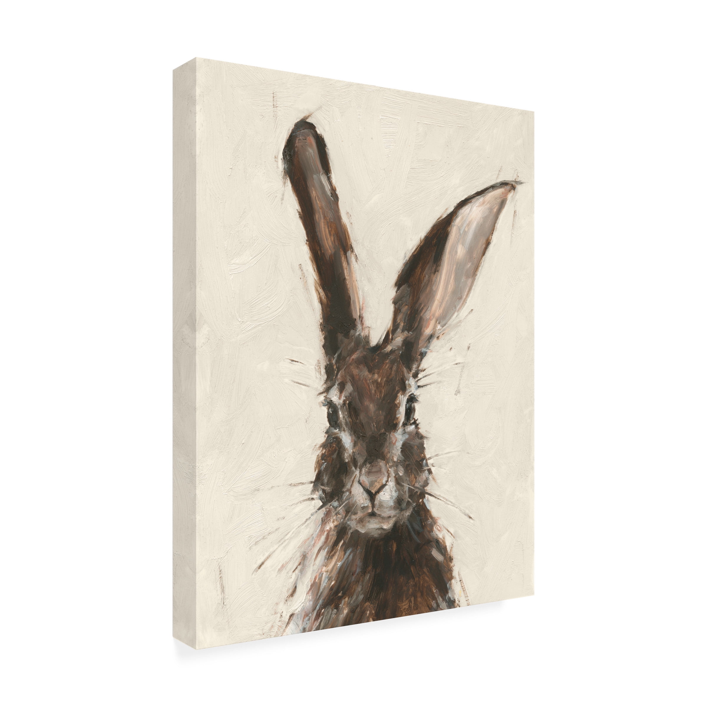 Ethan Harper 'European Hare II' Canvas Art